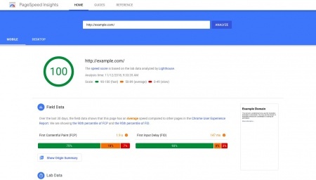 Screenshot Google PageSpeed Insights